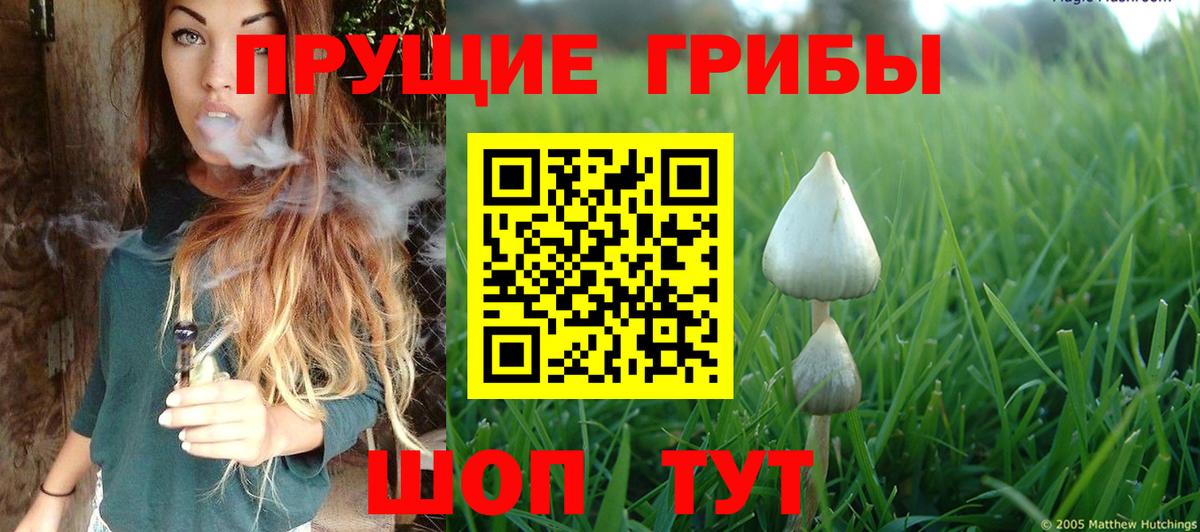 Галлюциногенные грибы прущие грибы Москва