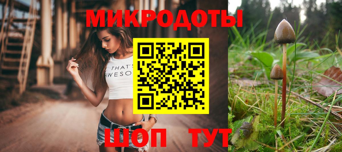 Москва  Псилоцибиновые грибы Magic Shrooms  Вход с VPN 